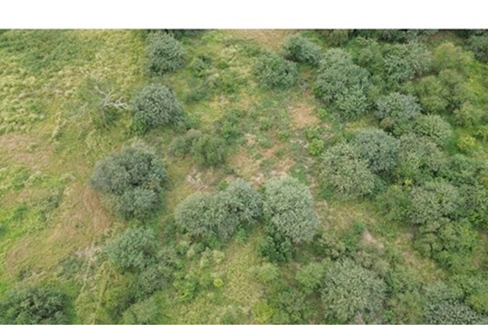 Terreno en venta en Loma Plata — foto 2
