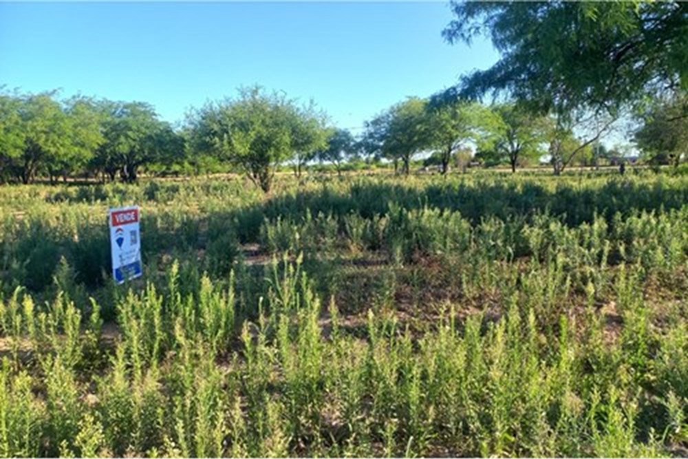 Terreno en venta en Loma Plata — foto 3