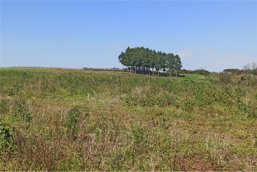 Propiedad agrícola de 47 hectáreas en Hohenau, que incluye tierras de cultivo fértiles, una pintoresca laguna y un arroy — foto 2