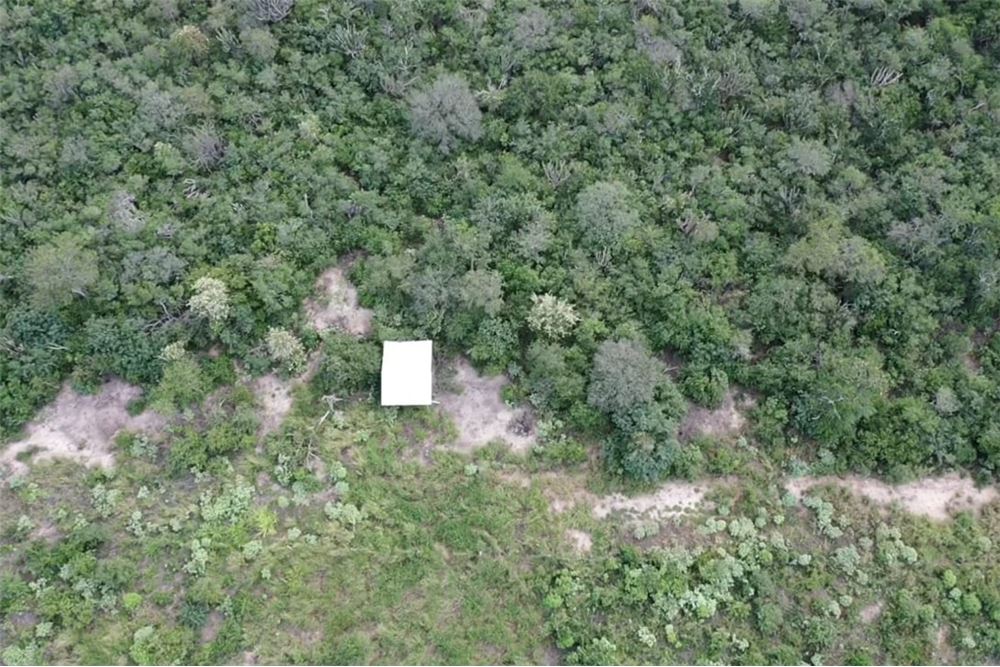 Campo en venta en Mayor Pablo Lagerenza — foto 2