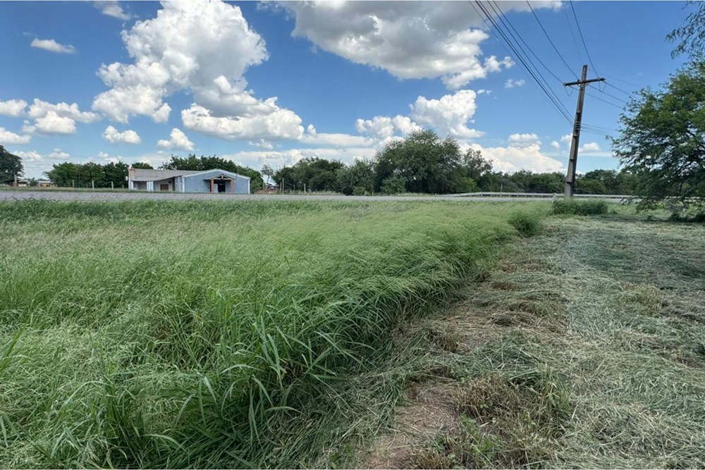Terreno en venta en Loma Plata — foto 2