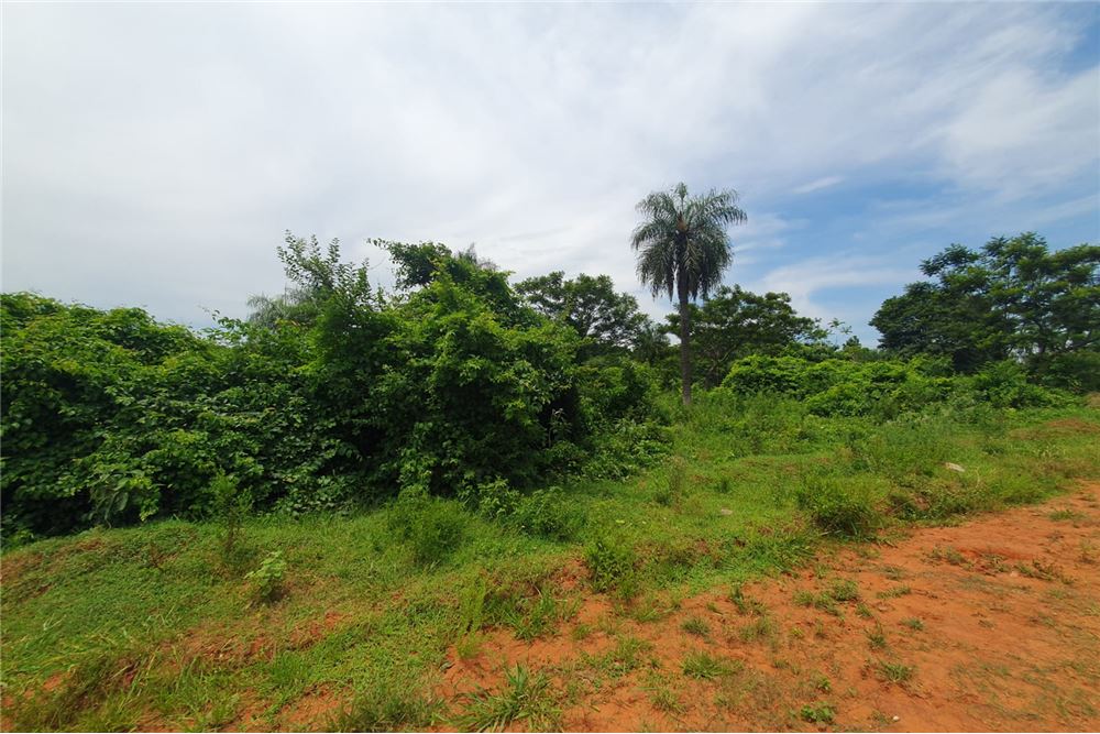Terreno en venta en Ex Fracción El Arroyito, Itá — foto 2