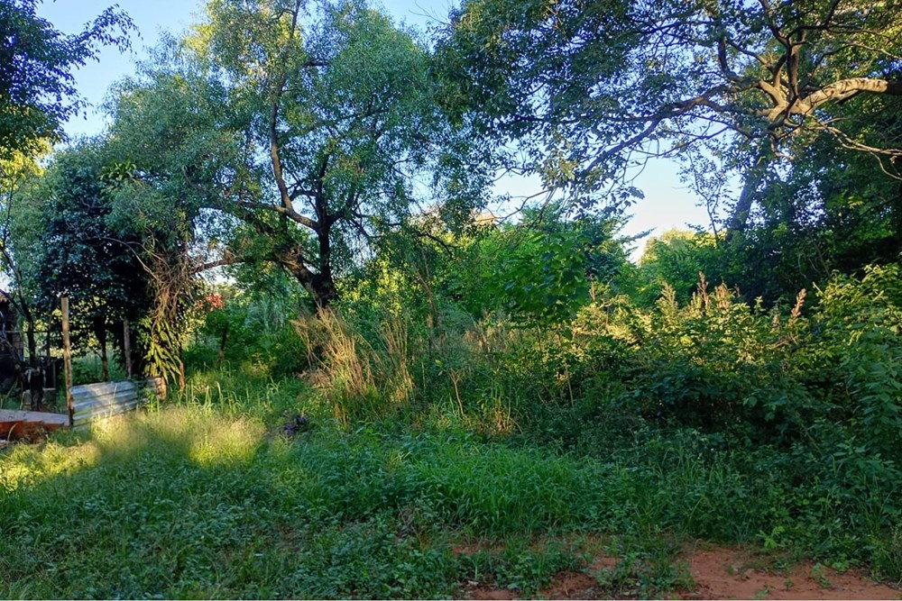 Terreno en venta en Isla Bogado, Luque — foto 2