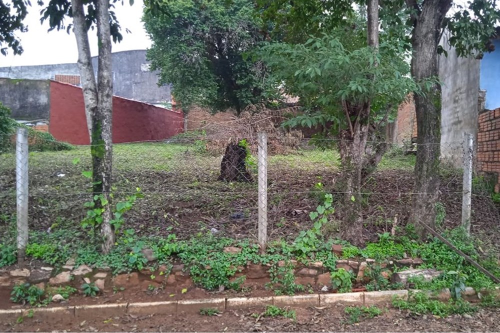 Terreno en venta en Rosedal, Villa Elisa — foto 2