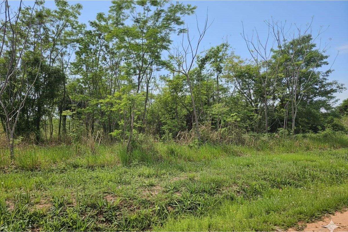 Terreno en venta en Surubi`y, Mariano Roque Alonso — foto 3