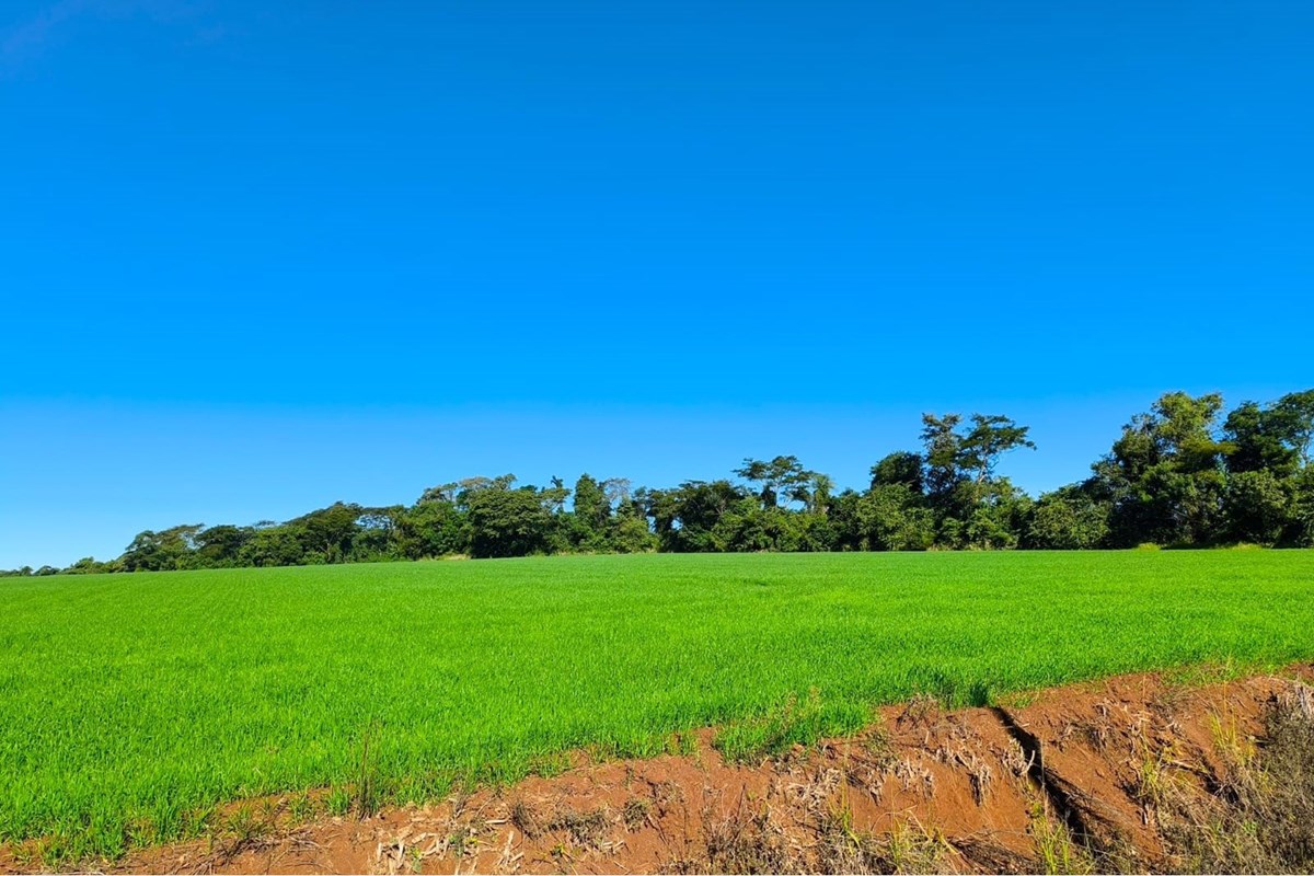 Terreno en venta en Fram — foto 3