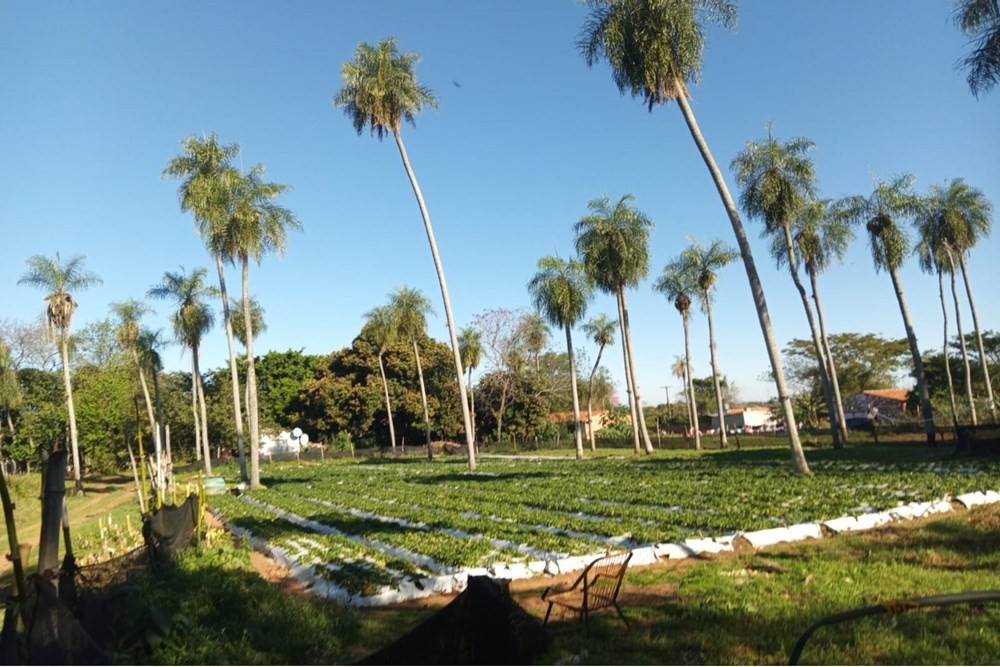 Terreno en venta en Areguá — foto 2