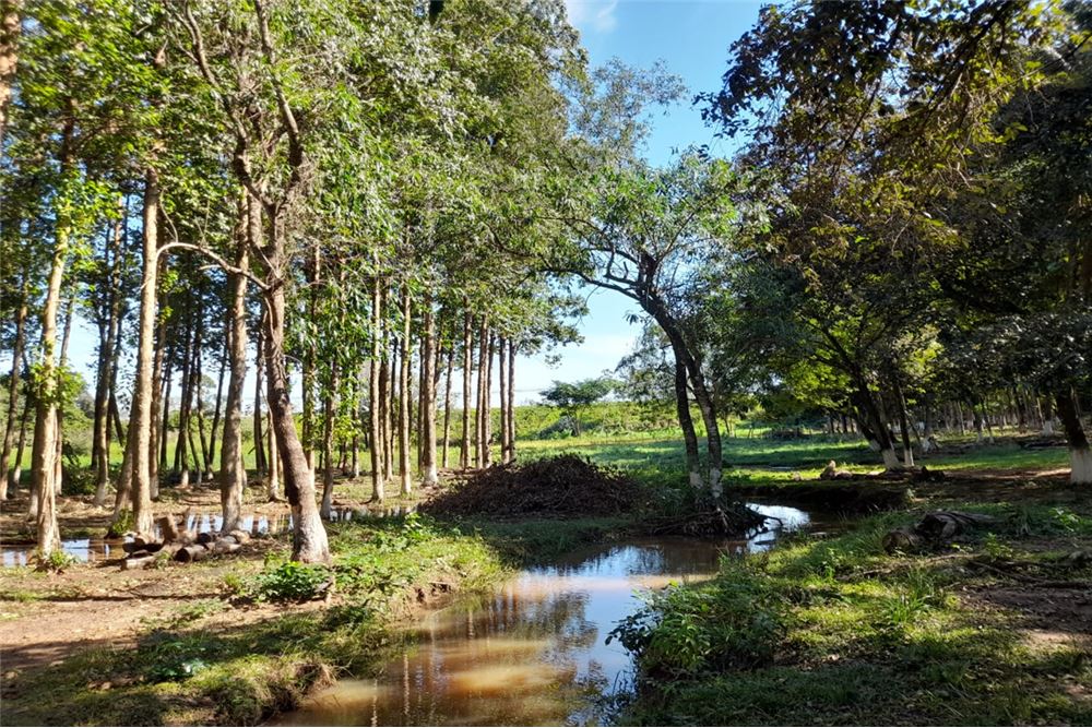 Terreno en venta en Yataity del Norte — foto 2