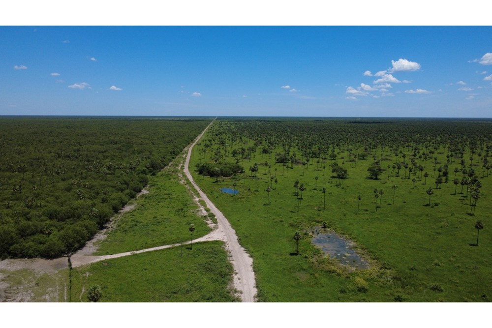 Terreno en venta en Teniente Esteban Martínez — foto 2