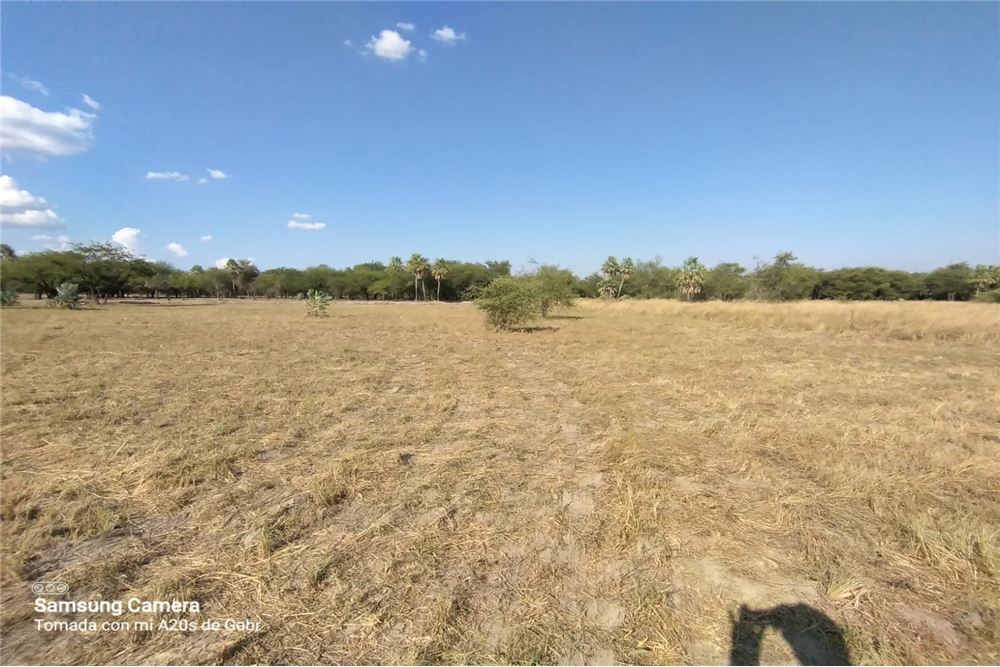Terreno en venta en Doctor José Falcón — foto 3