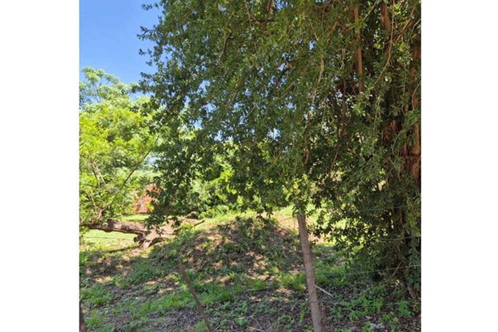 Terreno en venta en Remanso, Mariano Roque Alonso — foto 2