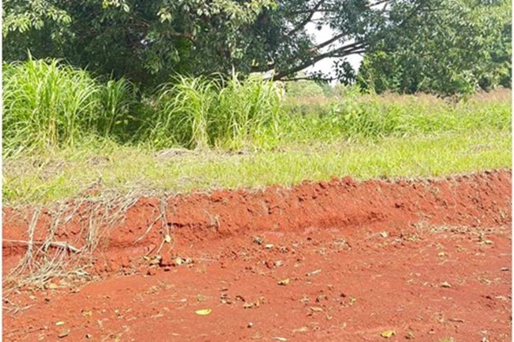 Terreno en venta en Hohenau — foto 2