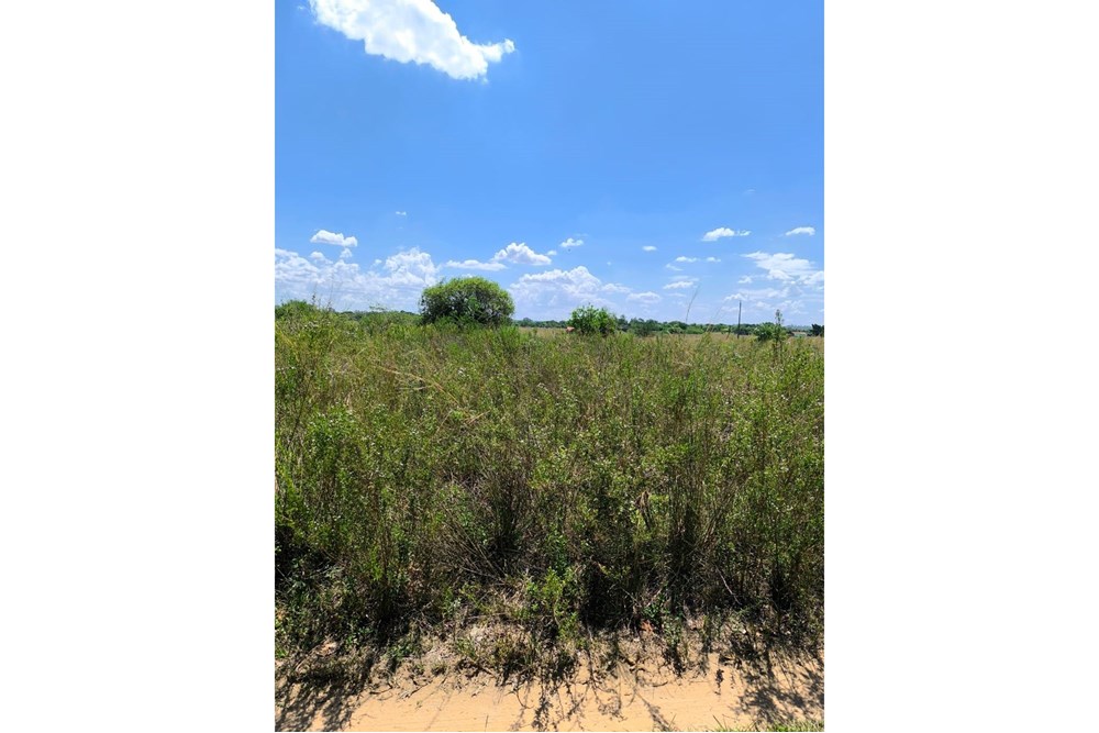 Terreno en venta en Ypané — foto 3