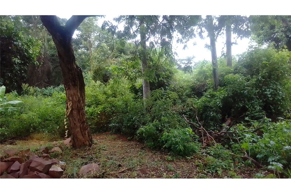 Terreno en venta en Costa Alegre, Ypané — foto 3