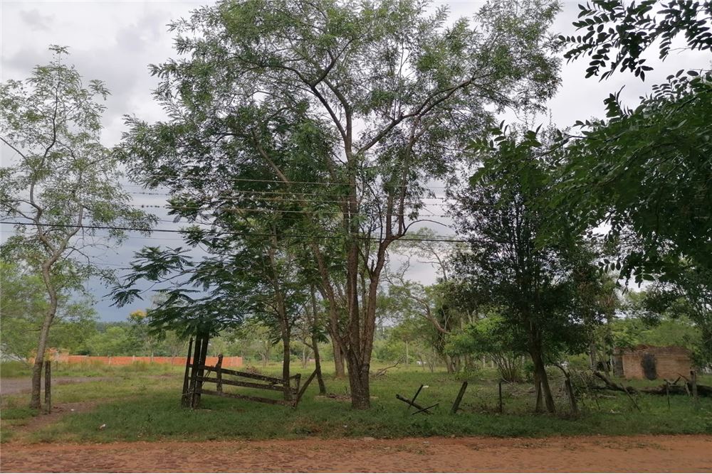 VENDO TERRENO SAN IGNACIO-MISIONES SANTO ANGEL – 5.136 m2 800cm2  — foto 3