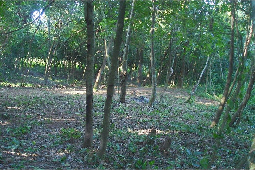 Venta de Amplio Terreno en Eusebio Ayala, Desvío a Piribebuy — foto 3