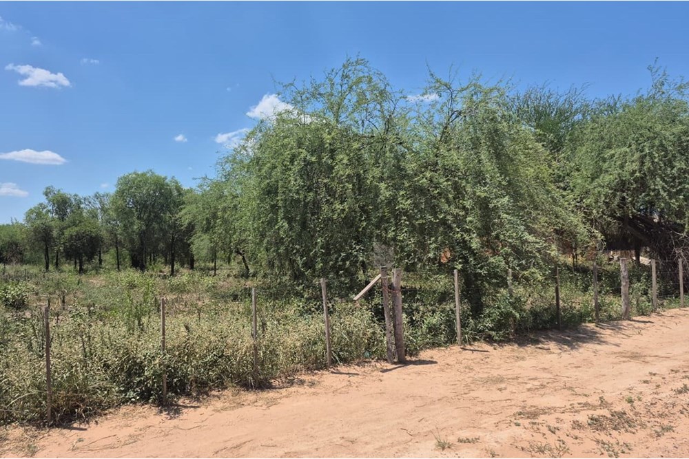 Terreno en venta en Filadelfia — foto 2