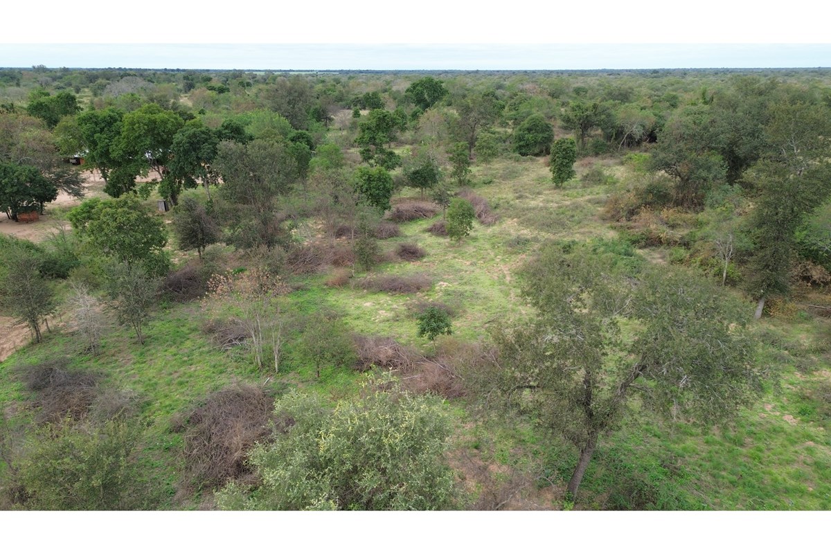 Terreno en venta en Loma Plata — foto 3