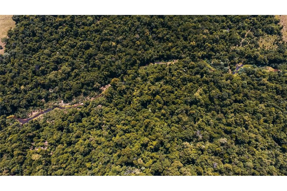 Terreno en venta en Coronel Oviedo — foto 2