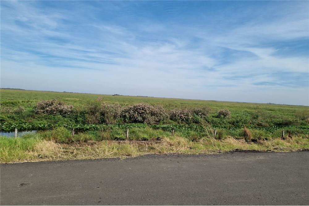 Campo en venta en Juan De Mena — foto 3
