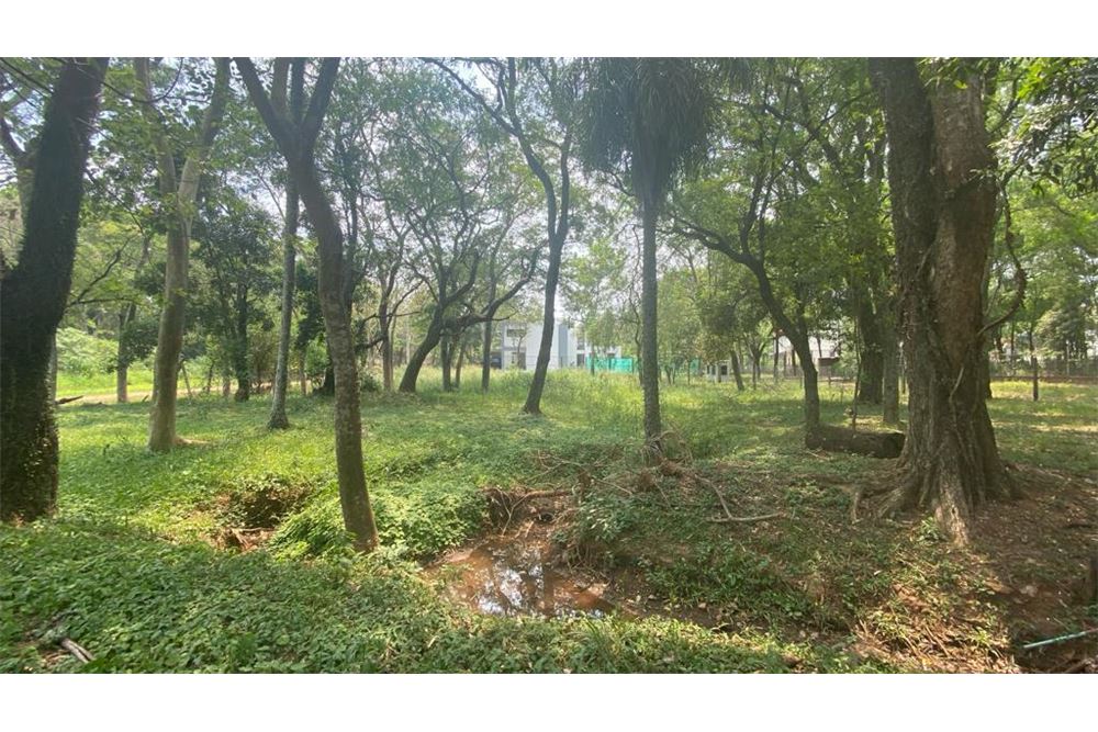 Terreno en venta en Surubi`y, Mariano Roque Alonso — foto 3