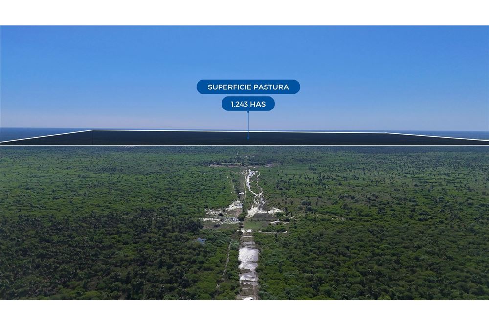 Campo en venta en Teniente Esteban Martínez — foto 2