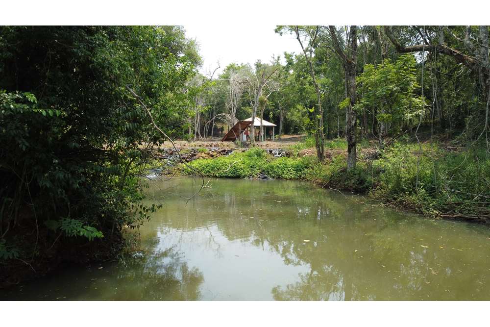 Propiedad en venta en Colonia Ara Poti, Los Cedrales — foto 2