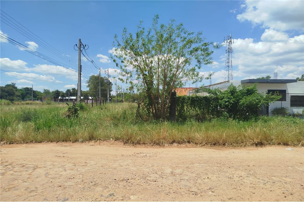 Terreno en venta en Isla Aveiro, Limpio — foto 2