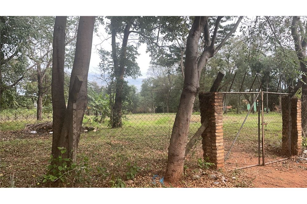 Vendo amplio terreno de 9.956 M2 de108 Mts de frente por 97Mts de fondo — foto 2