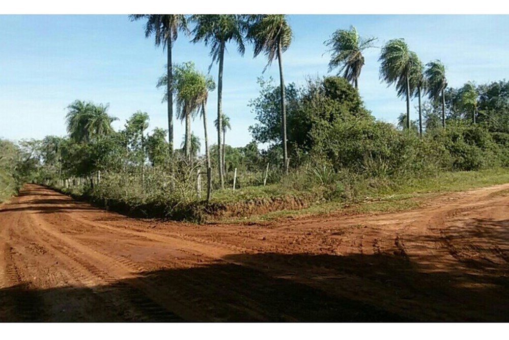 Terreno en venta en San Ignacio — foto 2