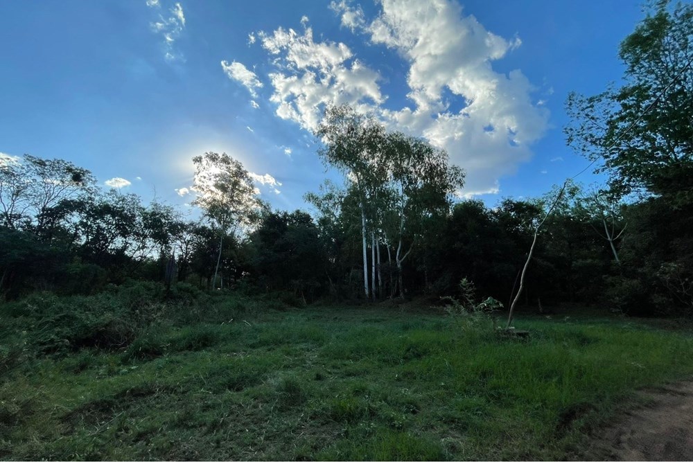 Terreno en venta en San Juan Del Paraná — foto 2