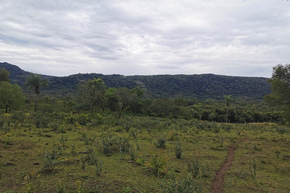 ¡Nueva oportunidad en el mercado! Presentamos un impresionante terreno disponible para la venta en Sapucai, Paraguarí, P — foto 3