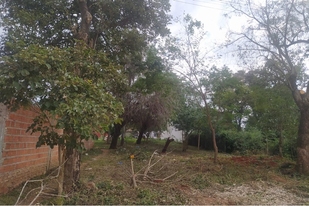 Terreno en venta en Loma Merlo, Luque — foto 3