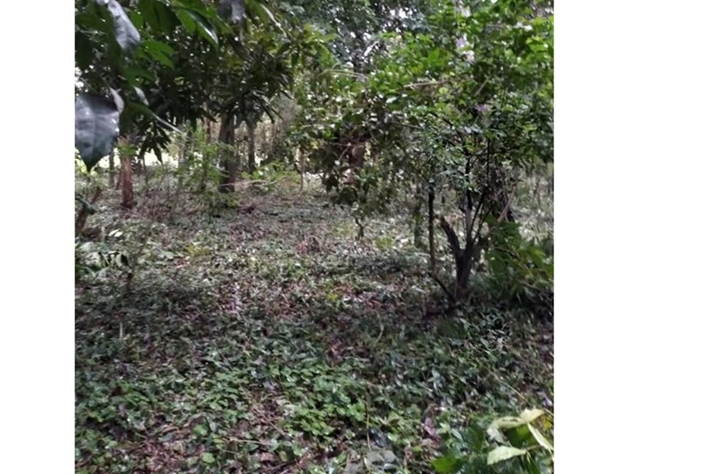 Terreno en venta Itá, zona Tape Tujá — foto 2