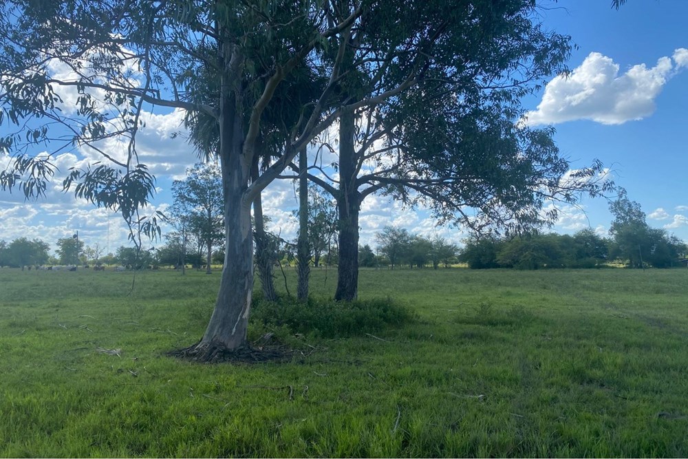 Terreno en venta en Doctor José Falcón — foto 3