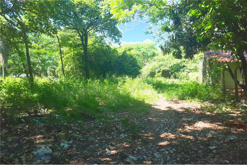 Venta de terreno 730 mtras2, a 4 cuadras de la transnchaco, Barrio Maria Auxiliadora . lugar apto para todo emprendimien — foto 3