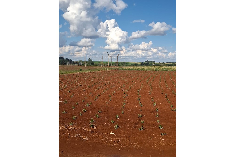 Terreno en venta en Santa Rosa Del Monday — foto 3