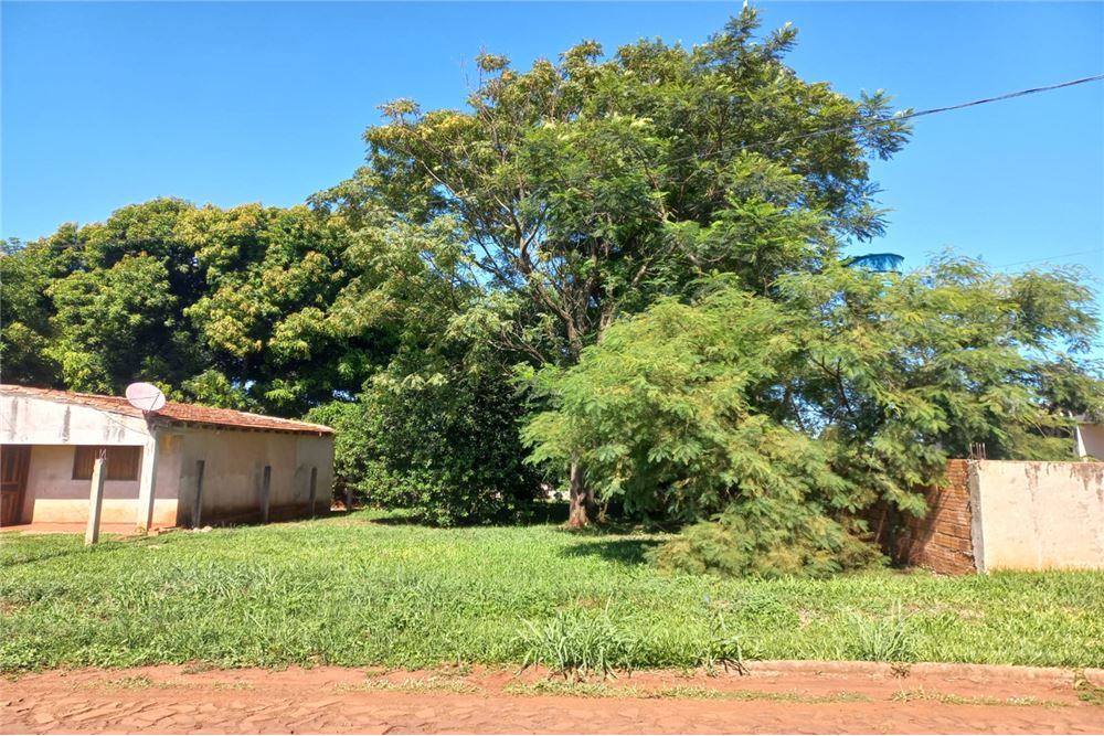 Terreno en venta en San Juan Del Paraná — foto 3