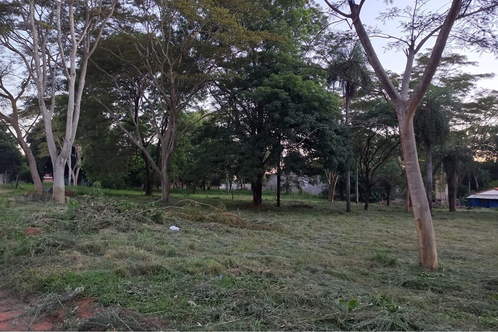 Terreno en venta en San Antonio — foto 2