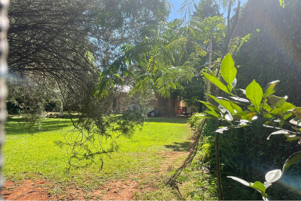 Casa en venta en San Carlos, Hernandarias — foto 3