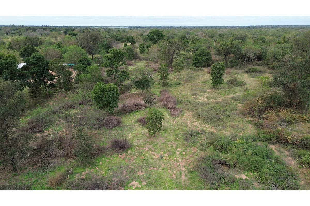 Terreno en venta en Loma Plata — foto 3