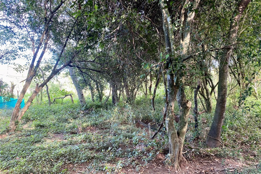 Terreno en venta en Arroyos Y Esteros — foto 2