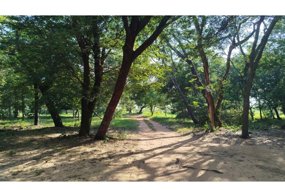 Terreno en venta en Estanzuela, Areguá — foto 2