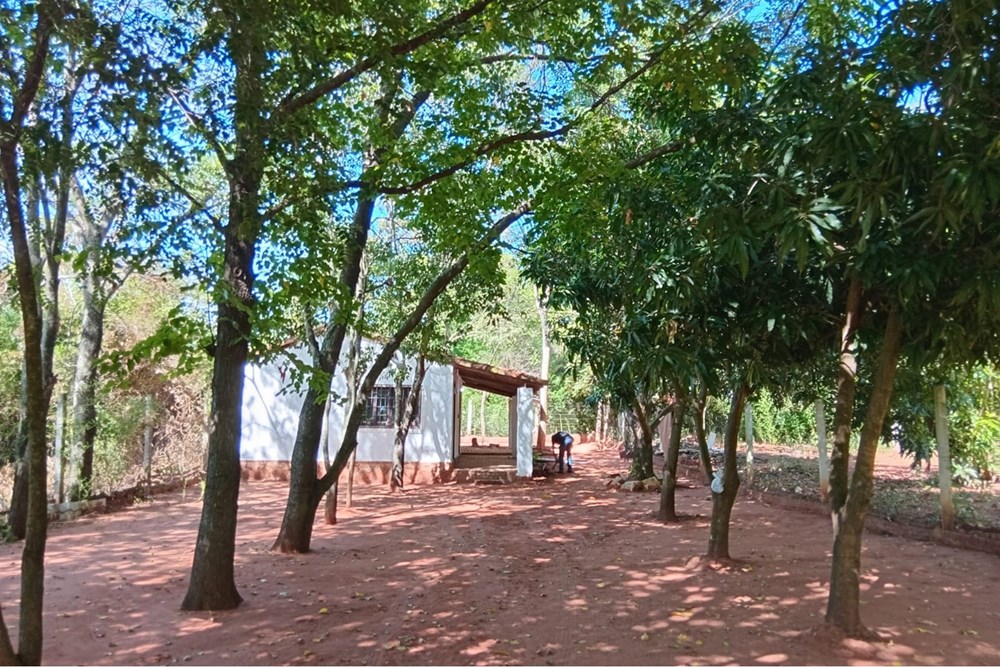 Barrio Kokue Guasu — foto 2