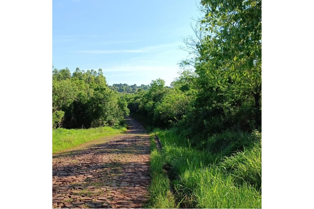 Terreno en venta en Obligado — foto 3