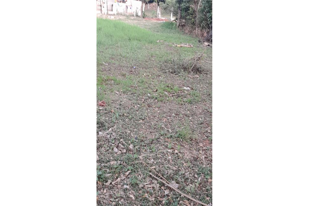 VENDO TERRENO EN CAPIATA,CANDELARIA — foto 2