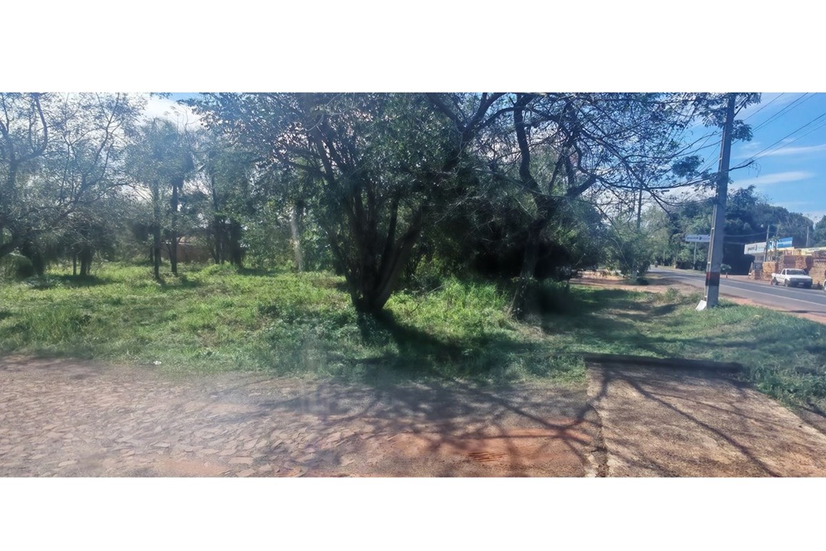 🚨🔥 ¡OPORTUNIDAD DE INVERSIÓN! 3 TERRENOS EN VENTA JUNTOS O POR SEPARADO 🔥🚨 — foto 3