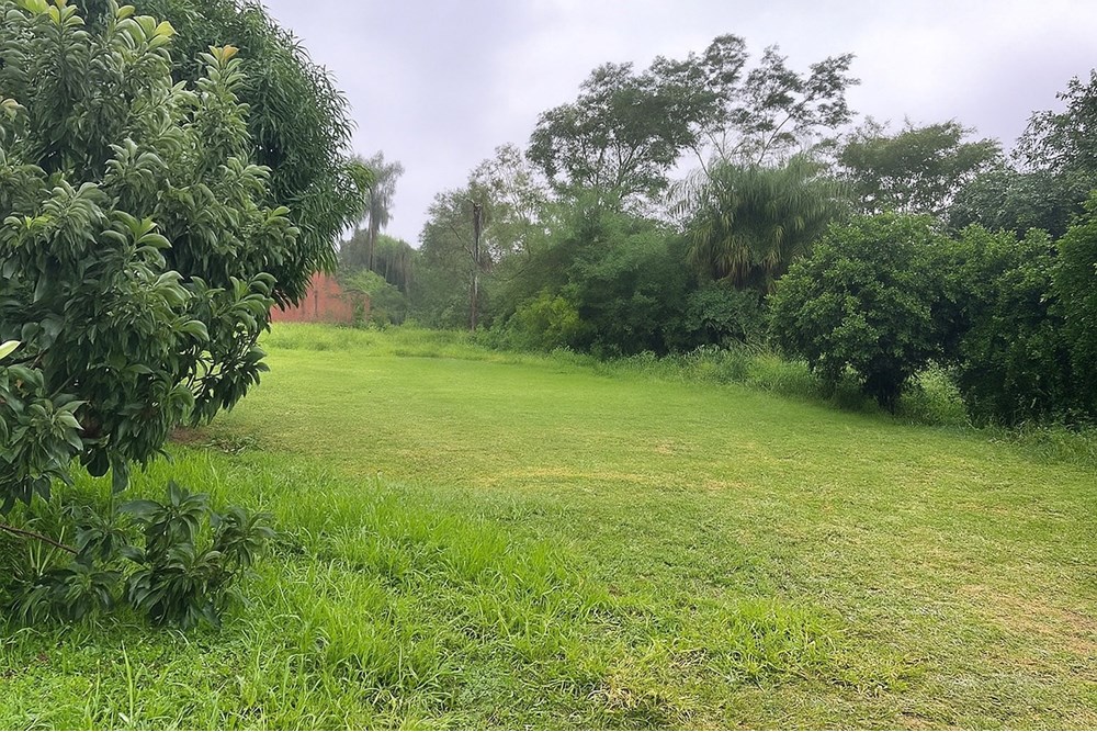 Terreno en venta en Colonia Thompson, Ypané — foto 3