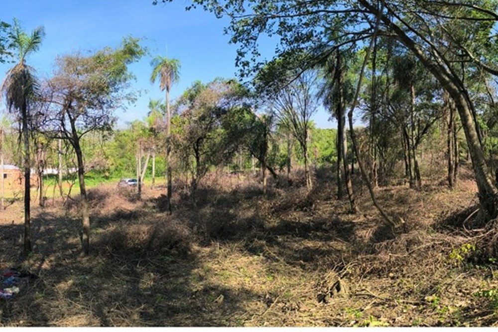 Terreno en venta en Caacupé — foto 2