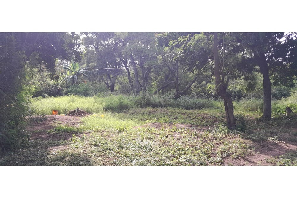 Campo en venta en Areguá — foto 2